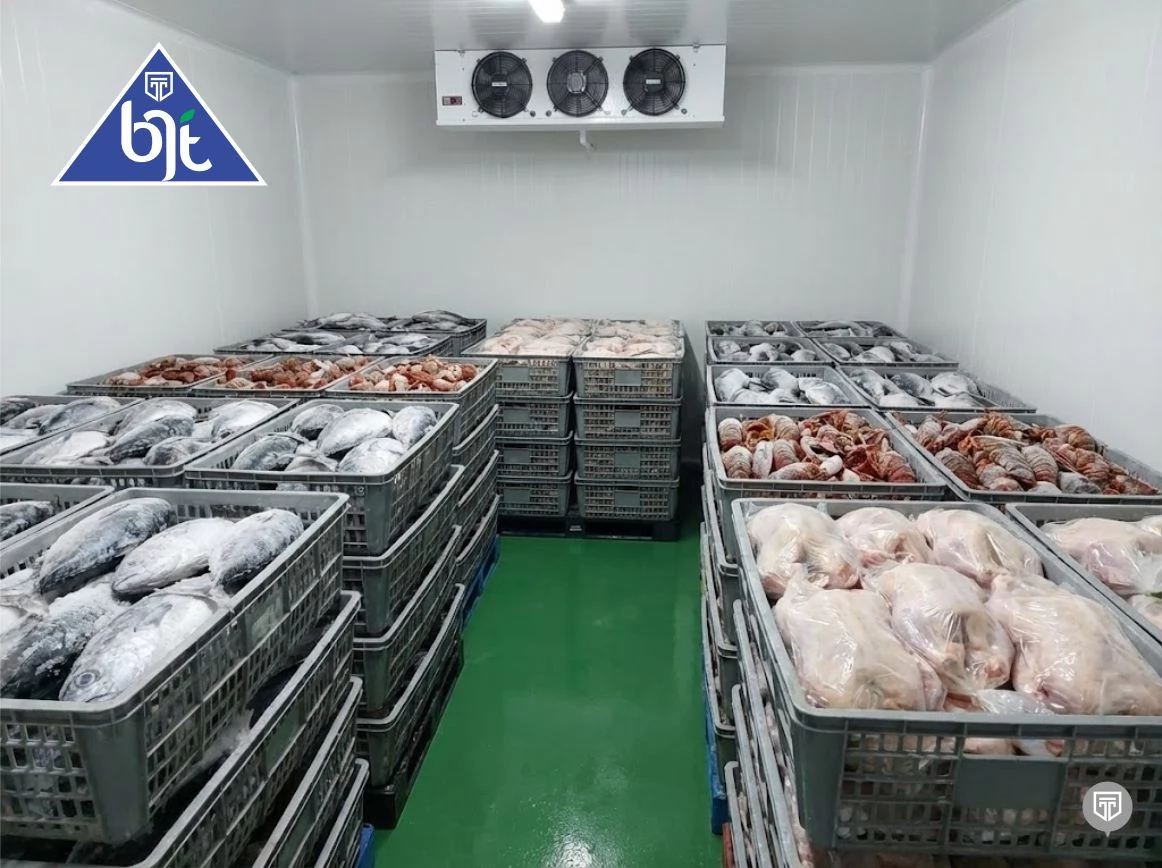 Cold Storage dan Freezer Room: Solusi Suhu Dingin Terkontrol